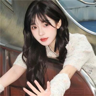 蜘蛛与郁金香
